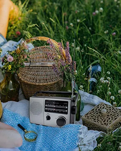 Caliber Retro Radio FM 2