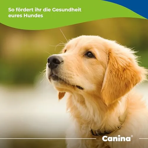 Canina Gag 5