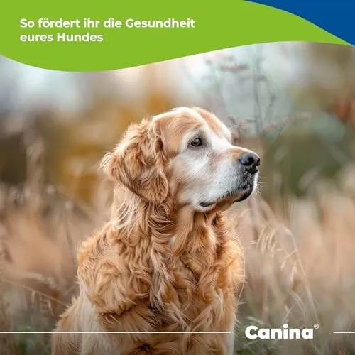 Canina V25 3