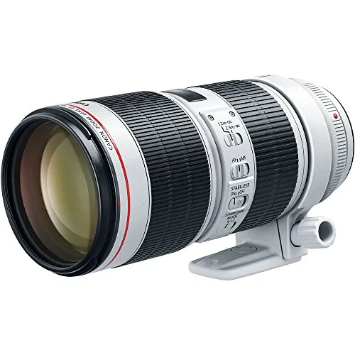 Canon EF 70-200mm F2.8L IS III USM 2