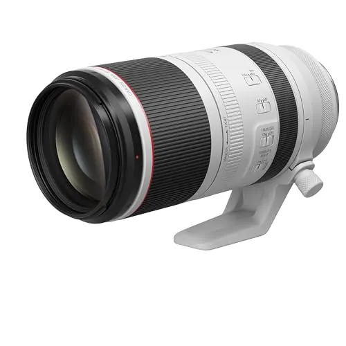 Canon RF 100-500mm F4.5-7.1L IS USM 2