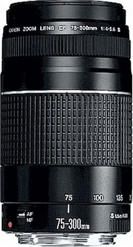 Canon EF 4,0-5,6/75-300 mm III USM