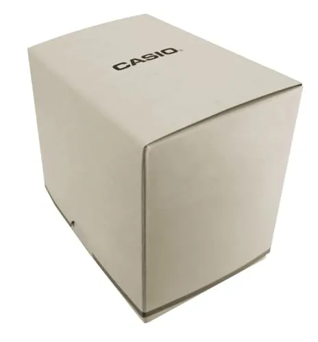 Casio LQ-24B-2B 5