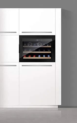 Caso WineSafe 18 EB 4