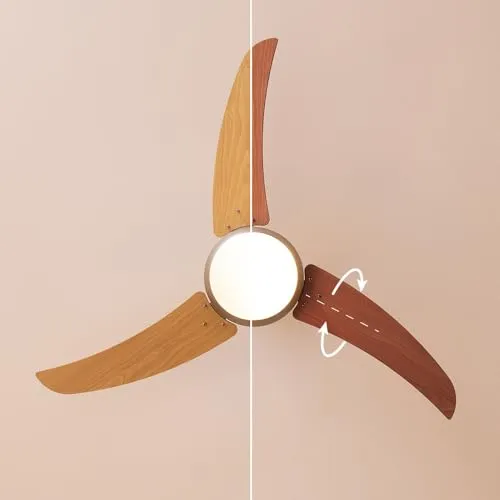 Cecotec EnergySilence Aero 480 4