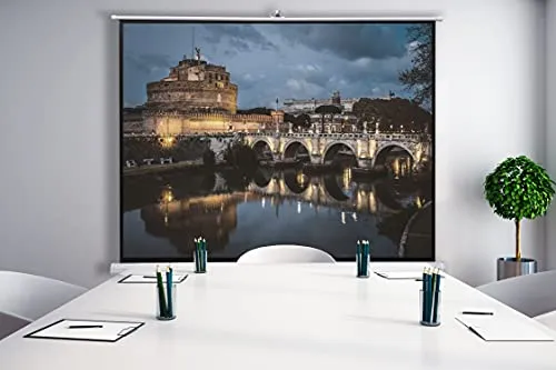 celexon Basic Stativ-Leinwand 110 5