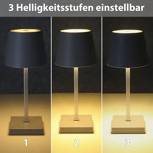Cepewa LED Tischleuchte 3