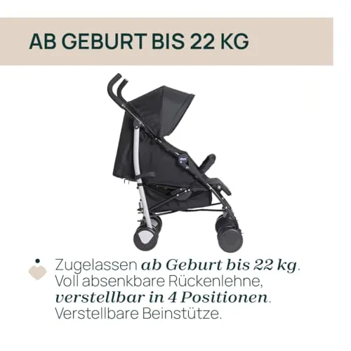 Chicco Echo Lite 4