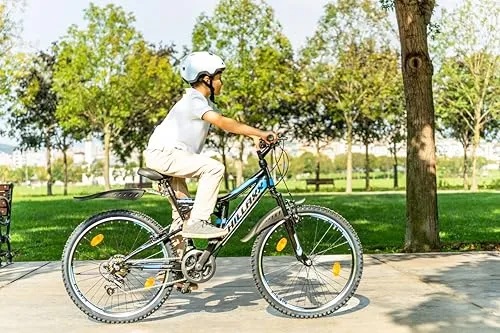 Chillaxx Bike Falcon 4
