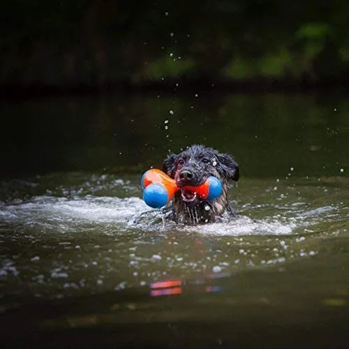 Chuckit! Tri-Bumper Medium 6