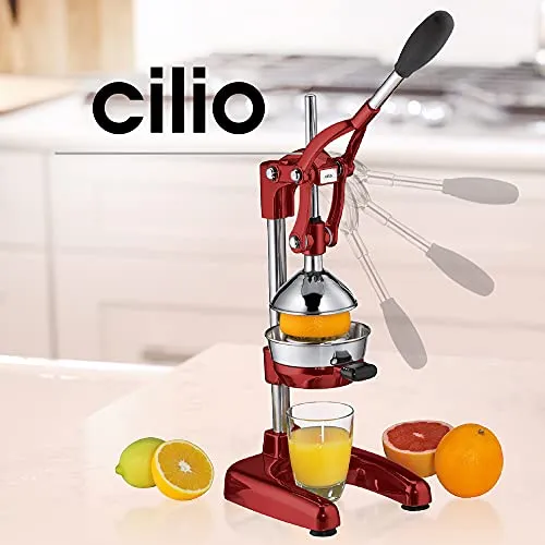 Cilio LIVORNO 7