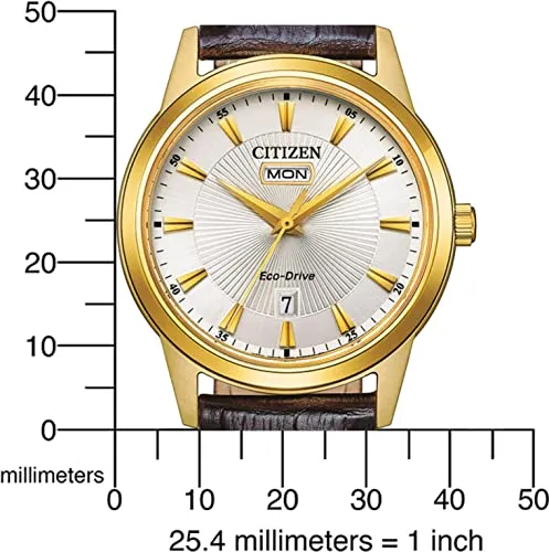 Citizen AW0102-13AC 2