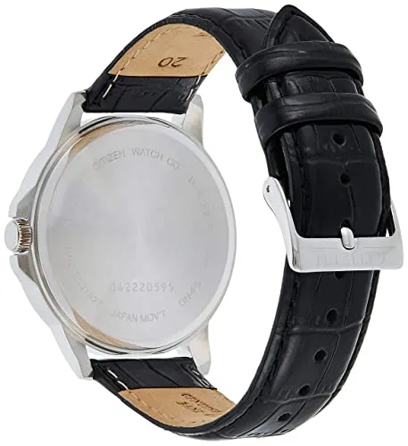 Citizen BF2011-01EE 2