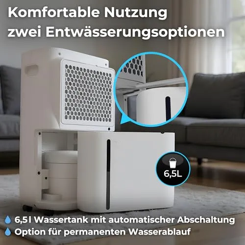 Climative SILENT ION 6