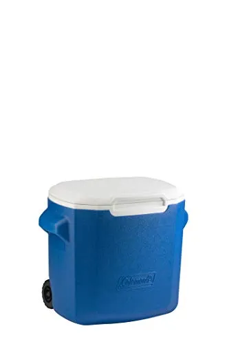 Coleman 28QT Performance 2