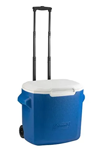 Coleman 28QT Performance 3