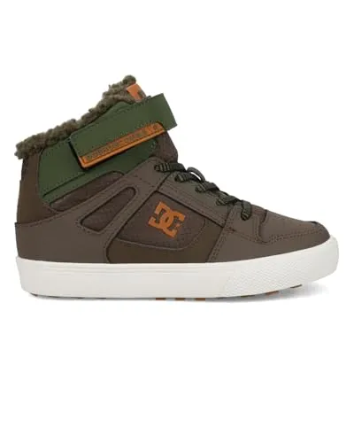 DC Shoes Pure High-Top Wnt Ev 2