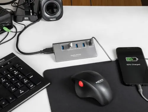 DeLOCK USB Hub 3