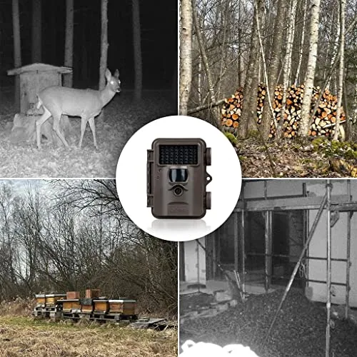 DÖRR Snapshot Mini 6