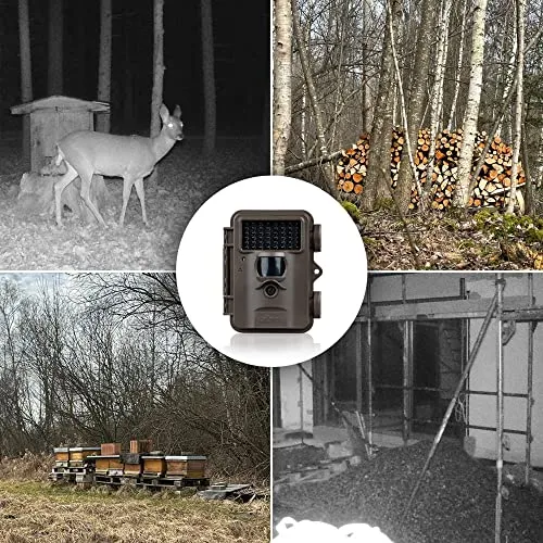 DÖRR Wildkamera Mini 4