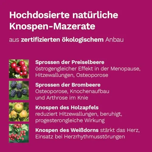 Dr. Koll Biopharm Meno Plus 2