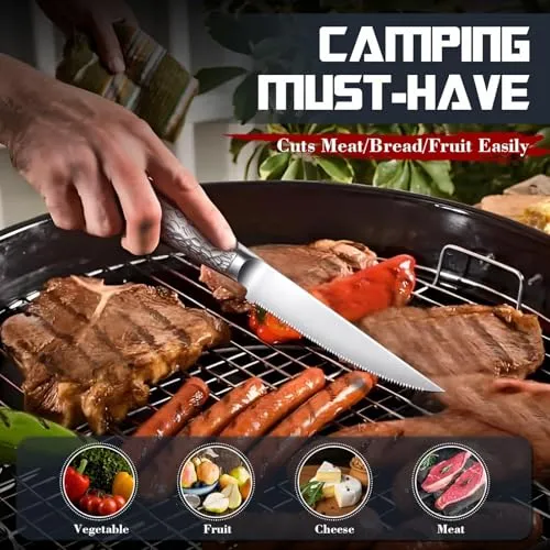 DRAGON RIOT Steakmesser Set 4
