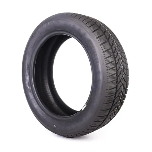 Dunlop Winter Sport -5 4