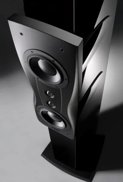 Dynaudio Confidence C2 Platinum 6