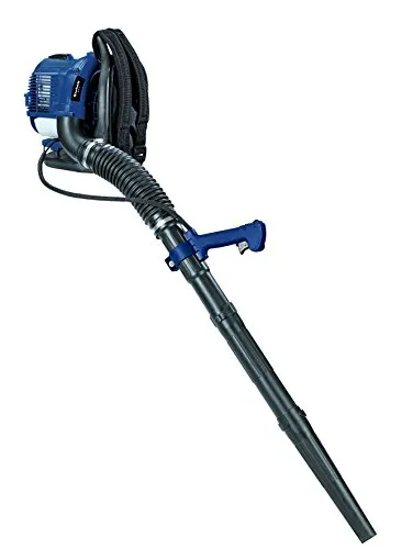 Einhell BG-PB 33