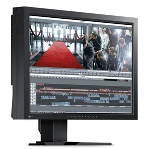 Eizo CG242W