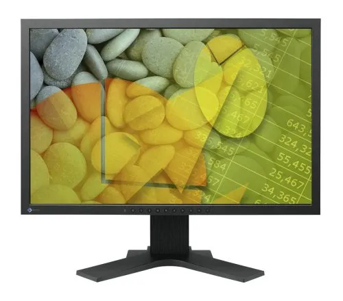 Eizo Flexscan S2202WH 3