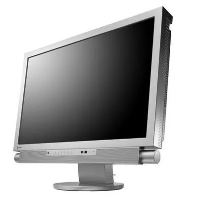 Eizo Foris FX2431