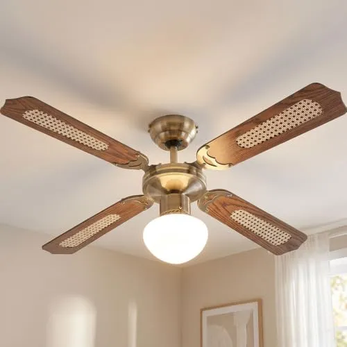 etc-shop Deckenventilator UC 2