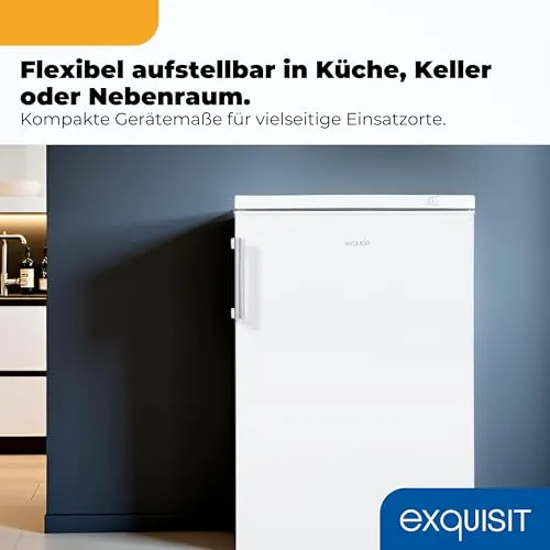 Exquisit Gefrierschrank Mini 2