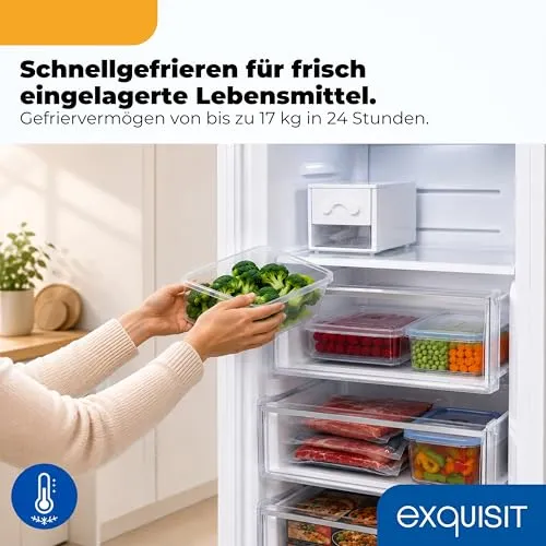 Exquisit GS5295-NF-H-040C 4