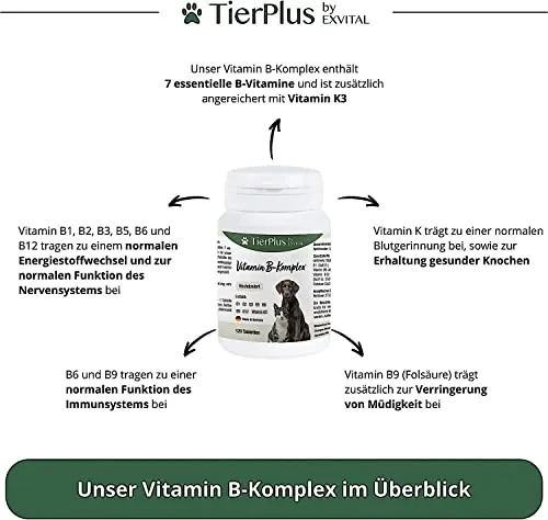 EXVital Vitamin B Komplex 2
