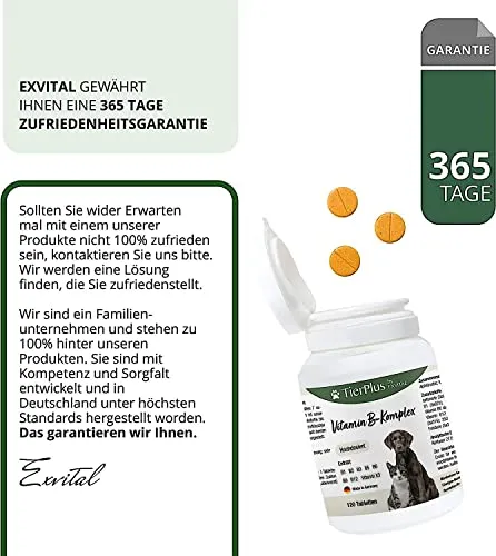 EXVital Vitamin B Komplex 5