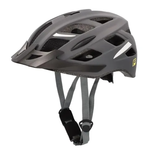 Fischer Urban Levin