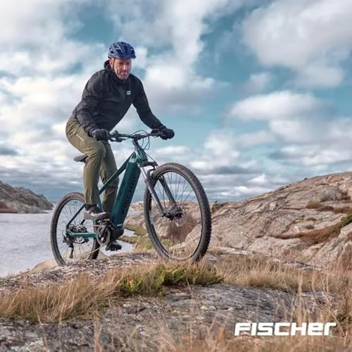 Fischer Urban Plus Boston 2