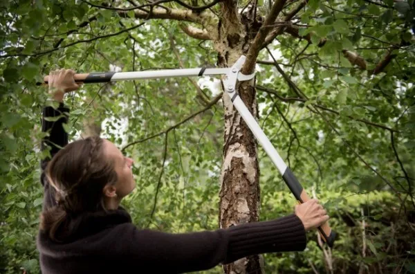 Fiskars Quantum 112630 3