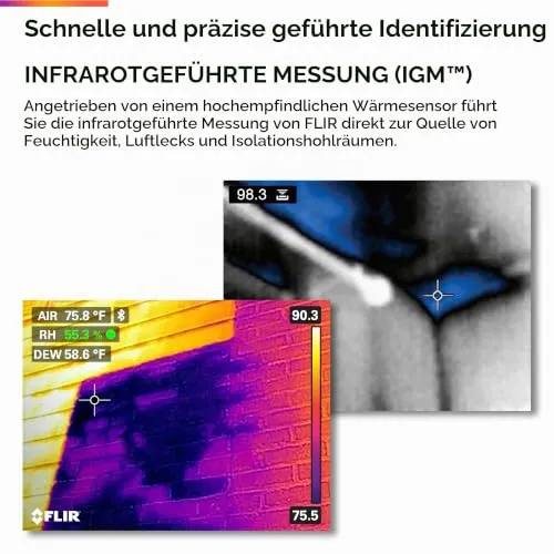 FLIR MR265 3