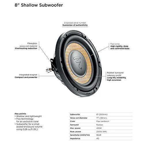 Focal P20FSE 5