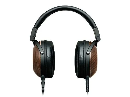 Fostex TH610 2