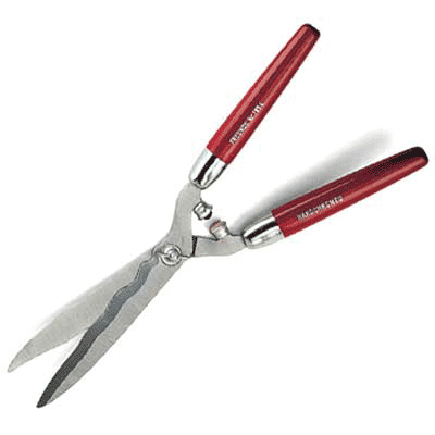 Freund Victoria 1954