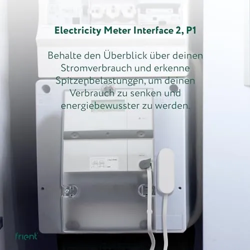 frient Electricity Meter Interface 2 P1 3