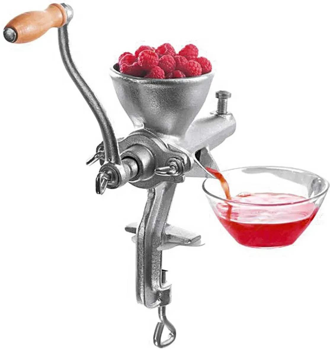 Frucht- und Beerenpresse
