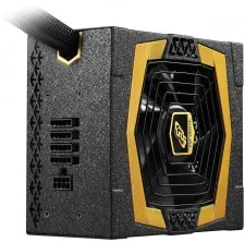 FSP Aurum CM Series Gold 550M 2
