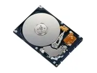 Fujitsu Hornet M80P MHW2160BH