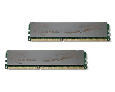 G.Skill Eco F3-12800CL7D-4GBECO