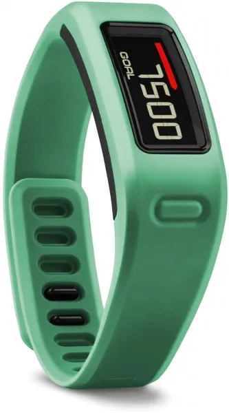 Garmin Vivofit 3